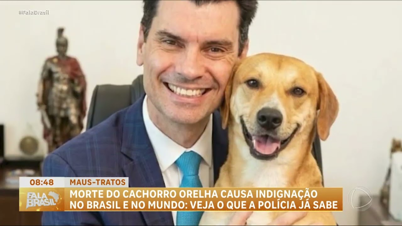 Assassinato do cão Orelha gera comoção e onda de protestos | FALA BRASIL