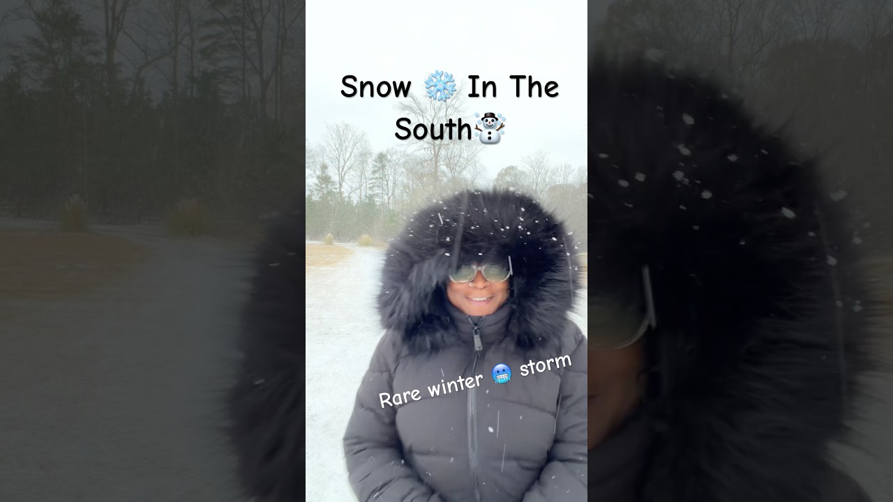 “POV: You live in the south…and a RARE winter storm just pulled up at your front door  