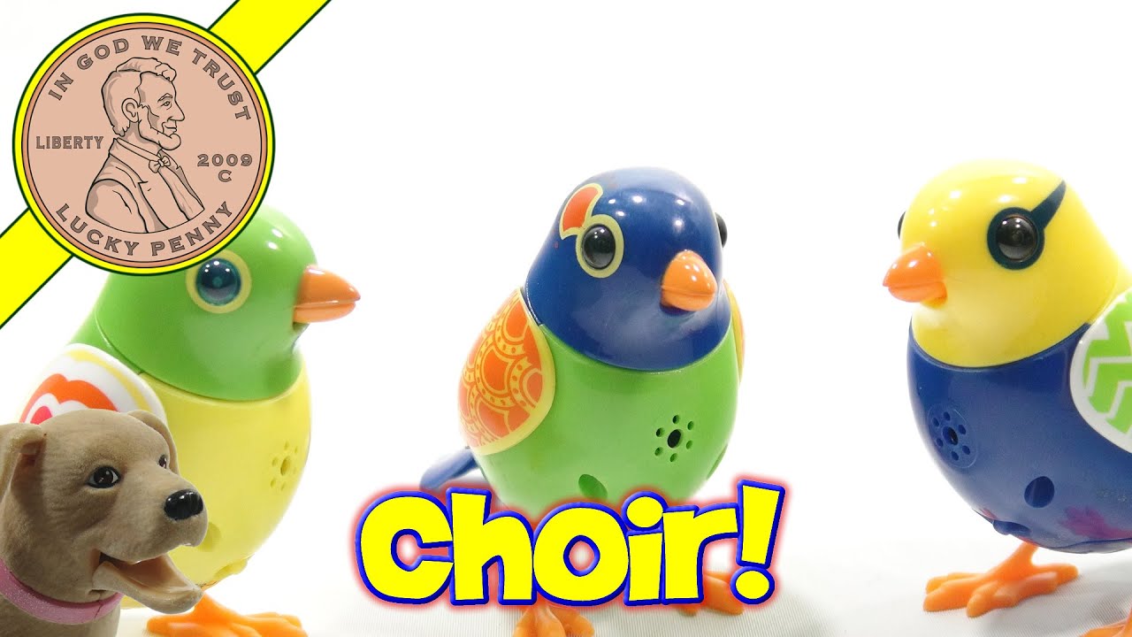 Twinkle's Trio DigiBirds Singing Birds, They Sing In A Choir!