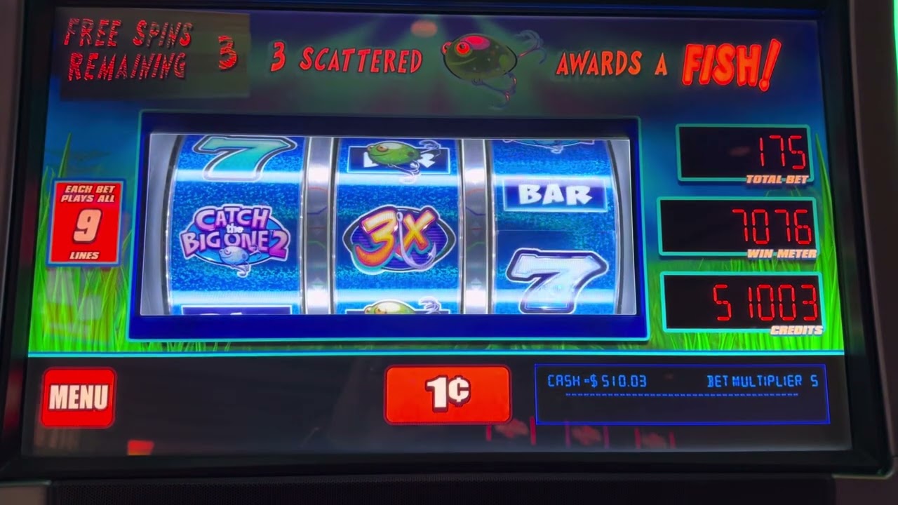Very rare win on “Catch the Big One 2”