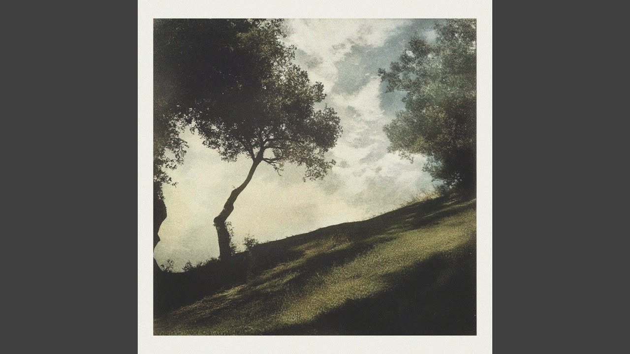 Peaceful Meadow (Soundbath)