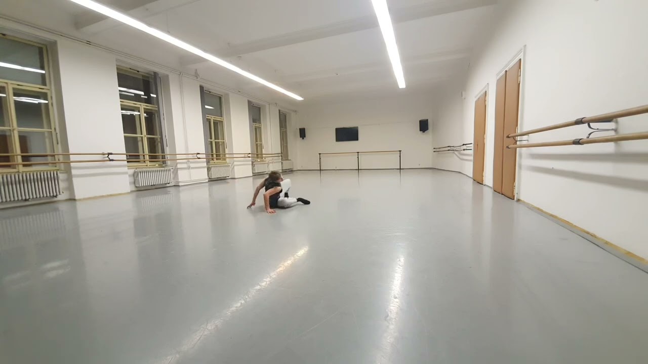 Ale&scaron; Matou&scaron;ek Audition video