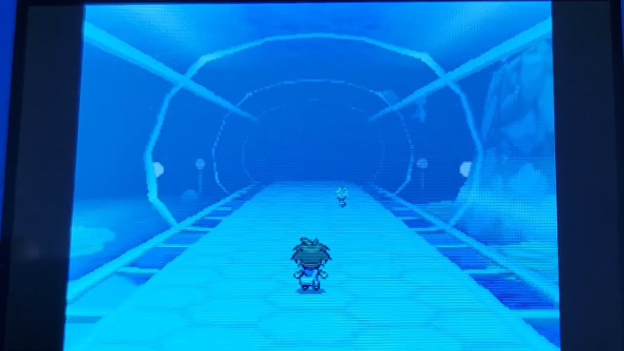 Going through marine tube (I found Wailord!) - Pokemon Black 2 / White 2