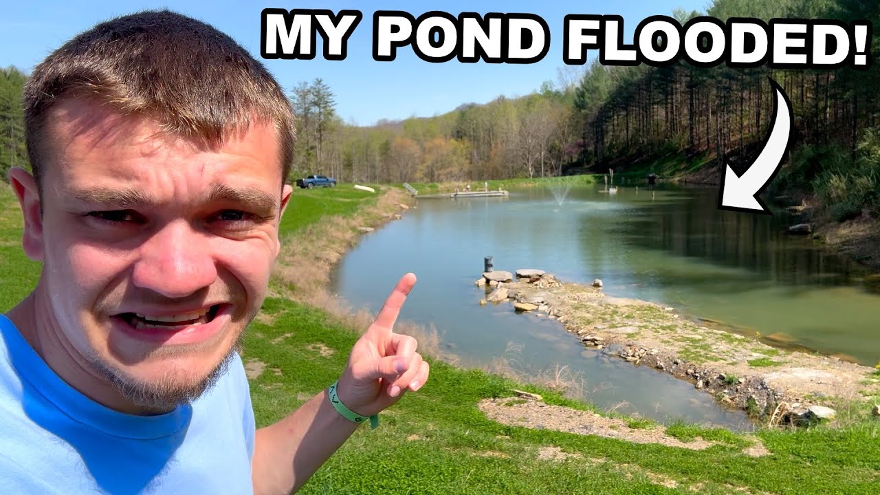 Flash Flood Hit My Pond