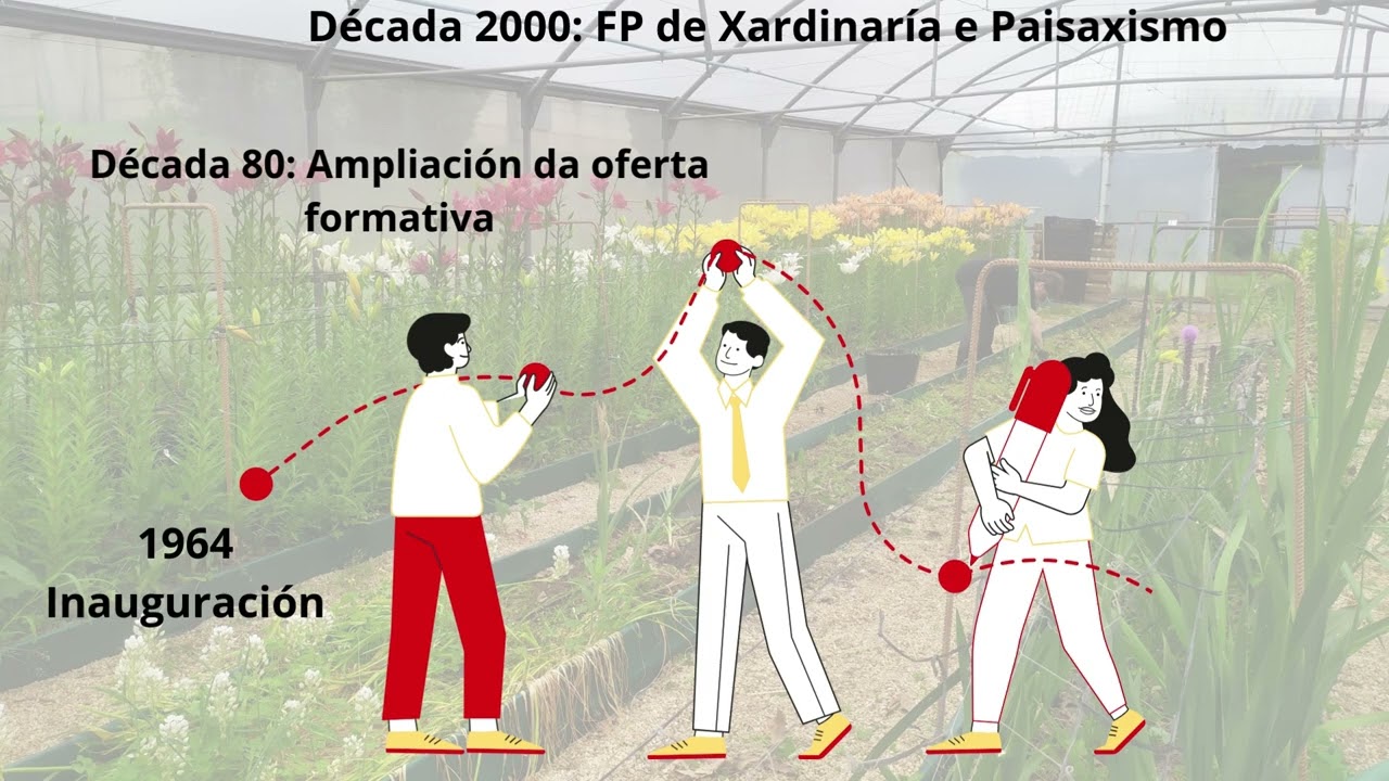 CFEA Gu&iacute;samo V3