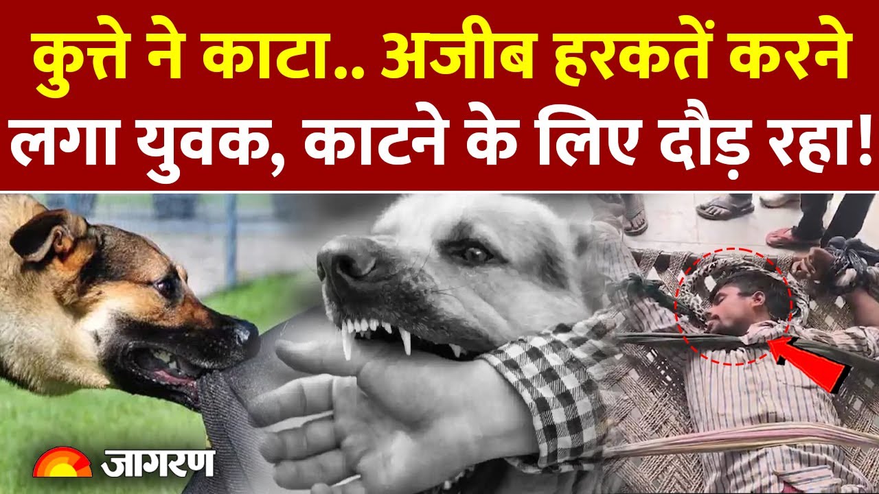 Dog Attack: Aligarh में कुत्ते के काटने के बाद अजीब हरकतें करने लगा युवक। UP News। Rabies। Injection
