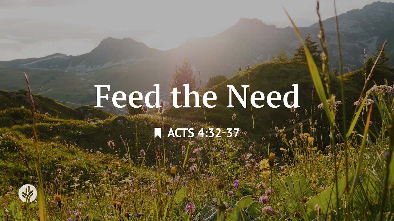 Feed the Need | Audio Reading | Our Daily Bread Devotional | August 21, 2025