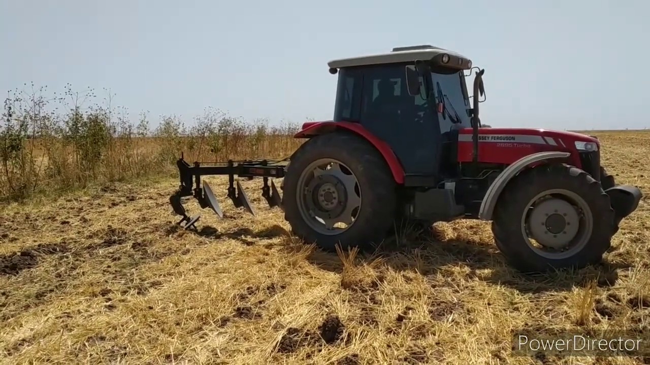 Barbecho Massey Ferguson 2695 arado Bison 4 discos