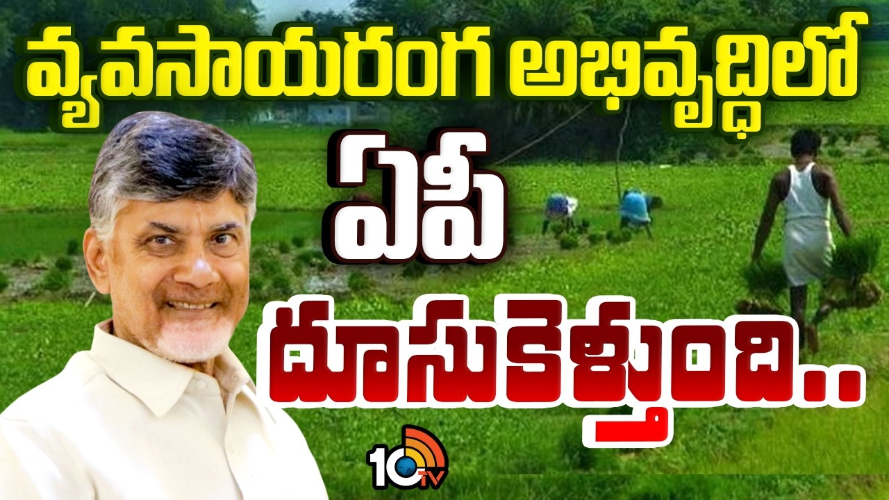CM Chandrababu | Delhi Tour | వ్యవసాయరంగ అభివృద్ధిలో ఏపీ దూసుకెళ్తుంది.. | 10TV News