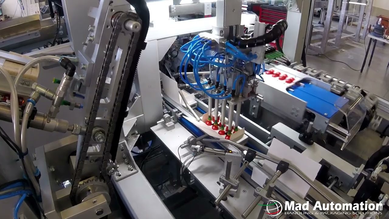 MAD AUTOMATION SRL - Coffee capsules cartoner machine