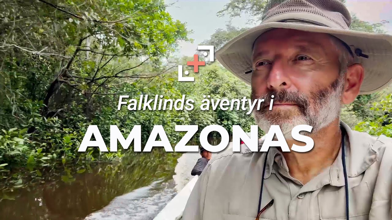 Martin Falklinds äventyr i Amazonas