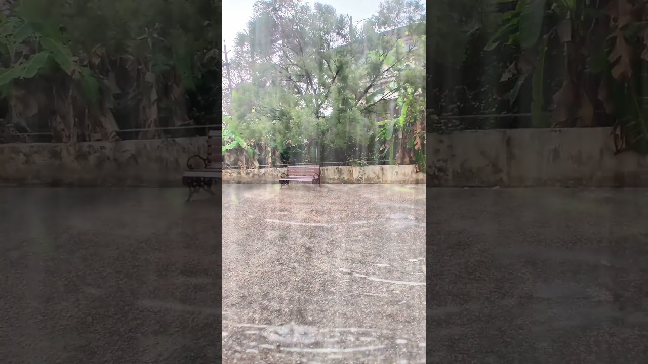 Real photo from Kottayam, Kerala 🌧️ Rain video +  original rain sound overlay for Deep Sleep