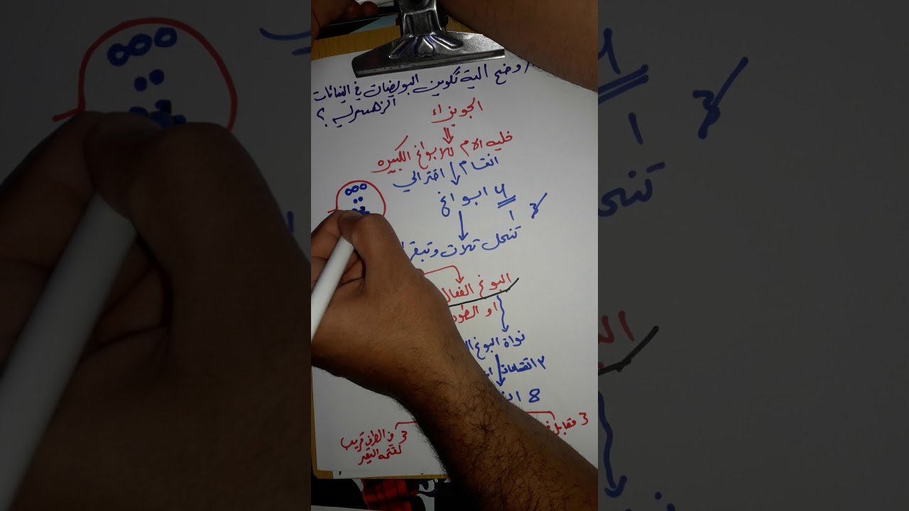 احياء/السادس الاحيائي/المبيض وتكوين البويضات/الاستاذ اسعد الاسدي