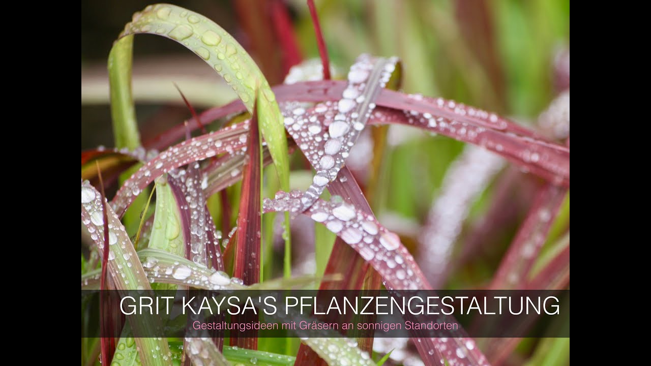 Grit Kaysa’s Pflanzen-Gestaltung mit Sonnengräsern