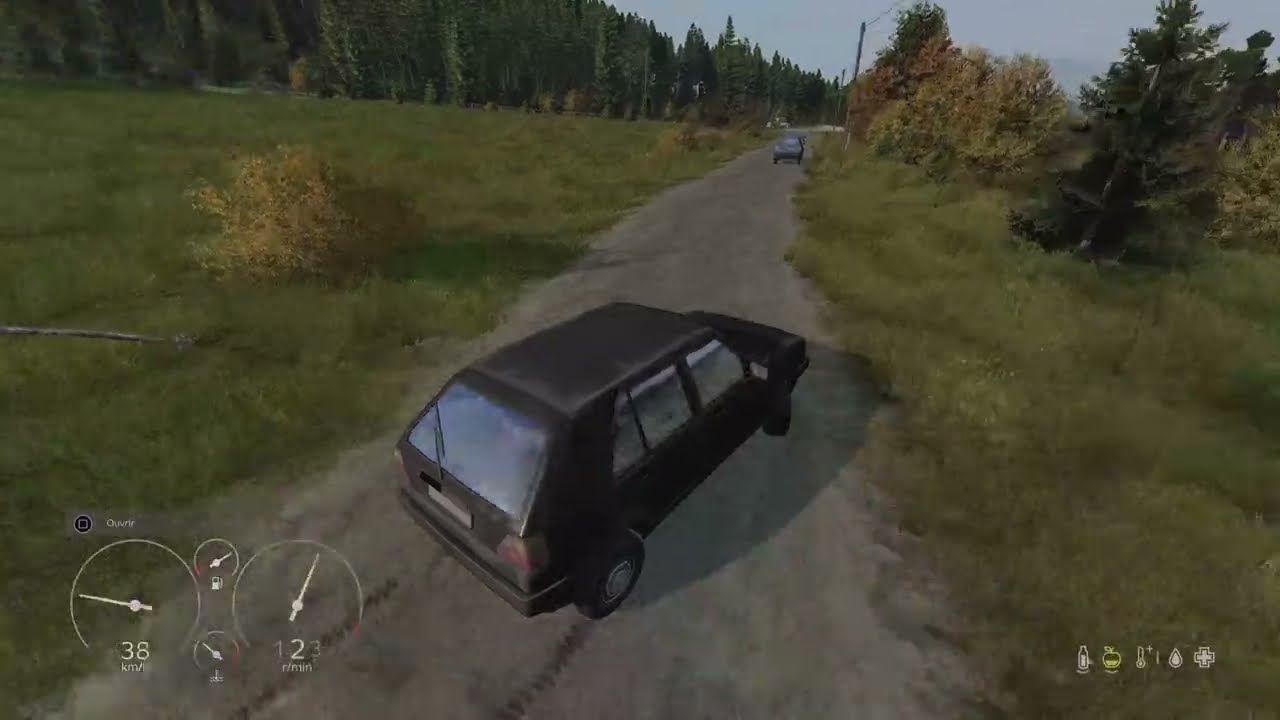 INSANE GUNTER DRIFT / DAYZ