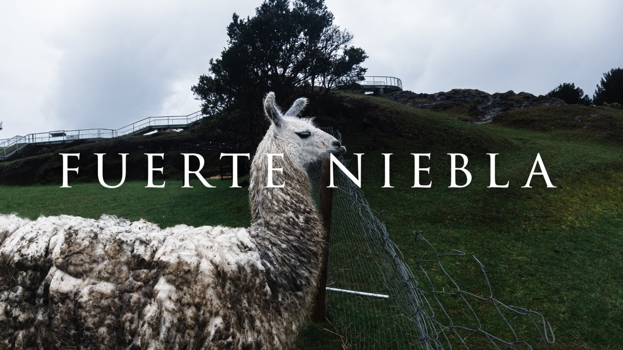 VALDIVIA PARTE 4 | FUERTE NIEBLA | MERCADO FLUVIAL | LA MOTONETA