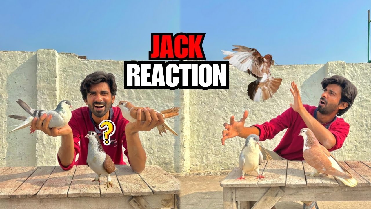 Jack Ki Teesri Biwi Le Aye 😂