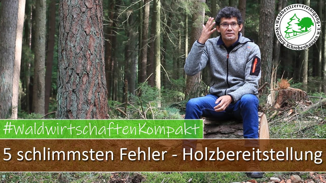 Die 5 schlimmsten Fehler bei der Holzbereitstellung - Waldwirtschaften Kompakt