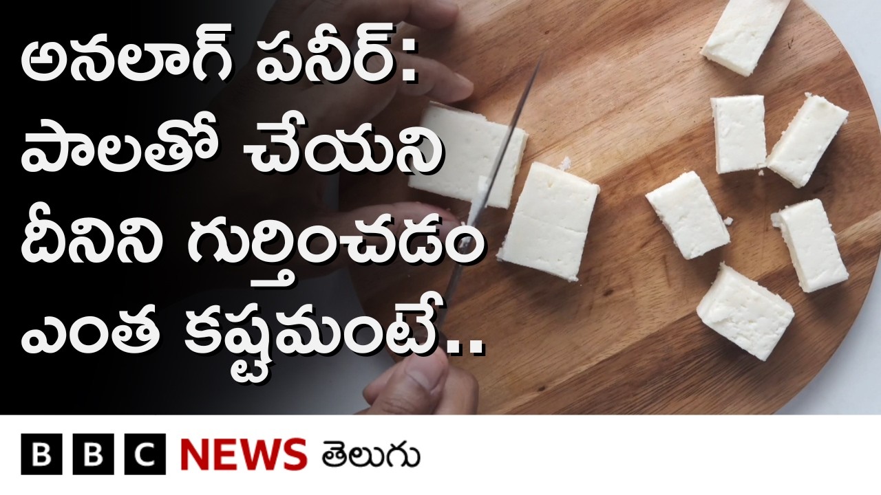 Analogue Paneer Ban: అనలాగ్ పనీర్ అంటే ఏంటి, అసలు పనీర్&zwnj;కు, దీనికి తేడా తెలుసుకునేదెలా? | BBC Telugu