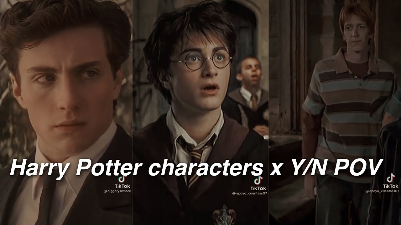 Harry Potter characters x Y/N TikTok POV