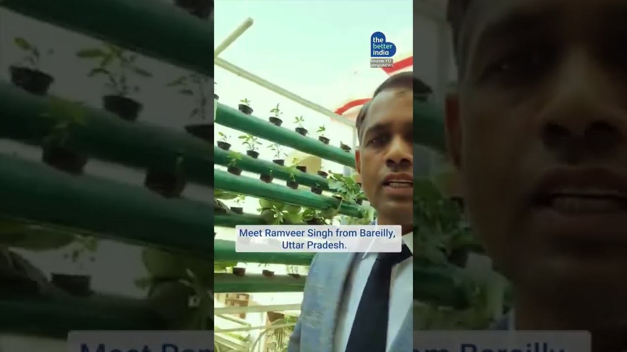 Growing Vegetables at Home without soil Hydroponics Gardening Terrace Farming Vimpa Ramveer Singh UP