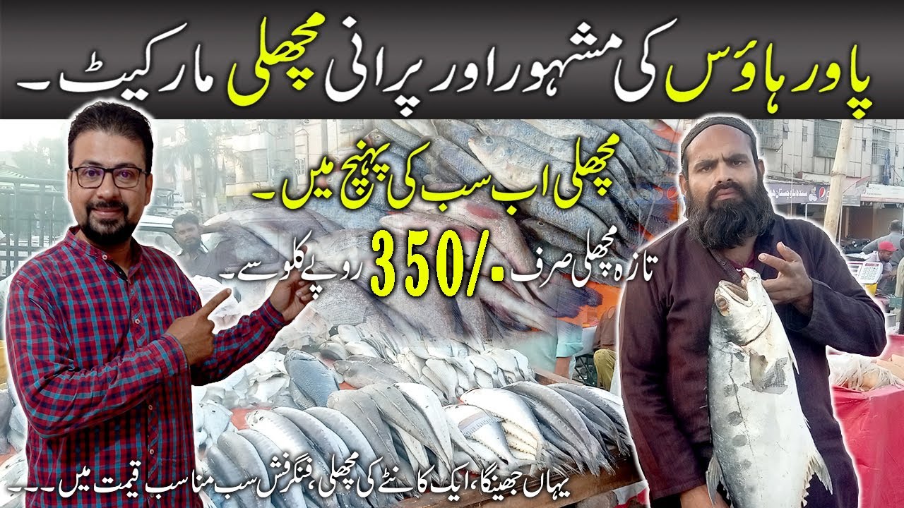 Karachi Cheapest Fish Market Power House Current Rate Updates | Fresh Fish Market In Karachi