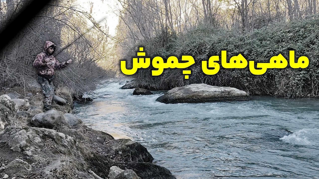 قزل‌آلاهای چموش - من باختم
