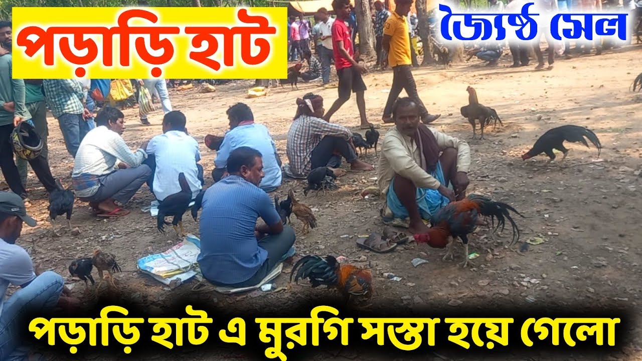 পড়াড়ি হাট || পড়াড়ি হাট এ মুরগি সস্তা হয়ে গেলো || জ্যৈষ্ঠ মাসের সেল