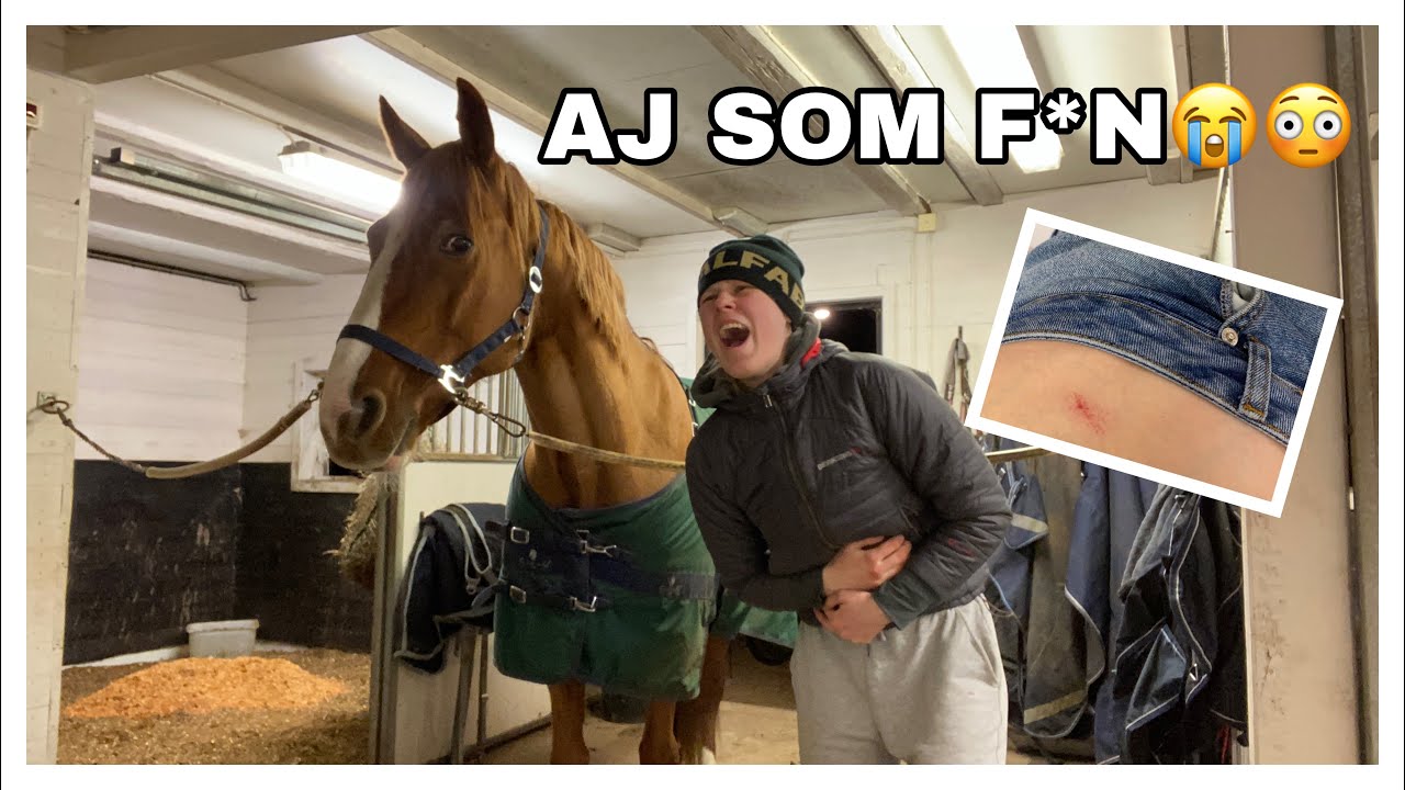 NEON SPARKAR MIG I MAGEN | STALLVLOGG