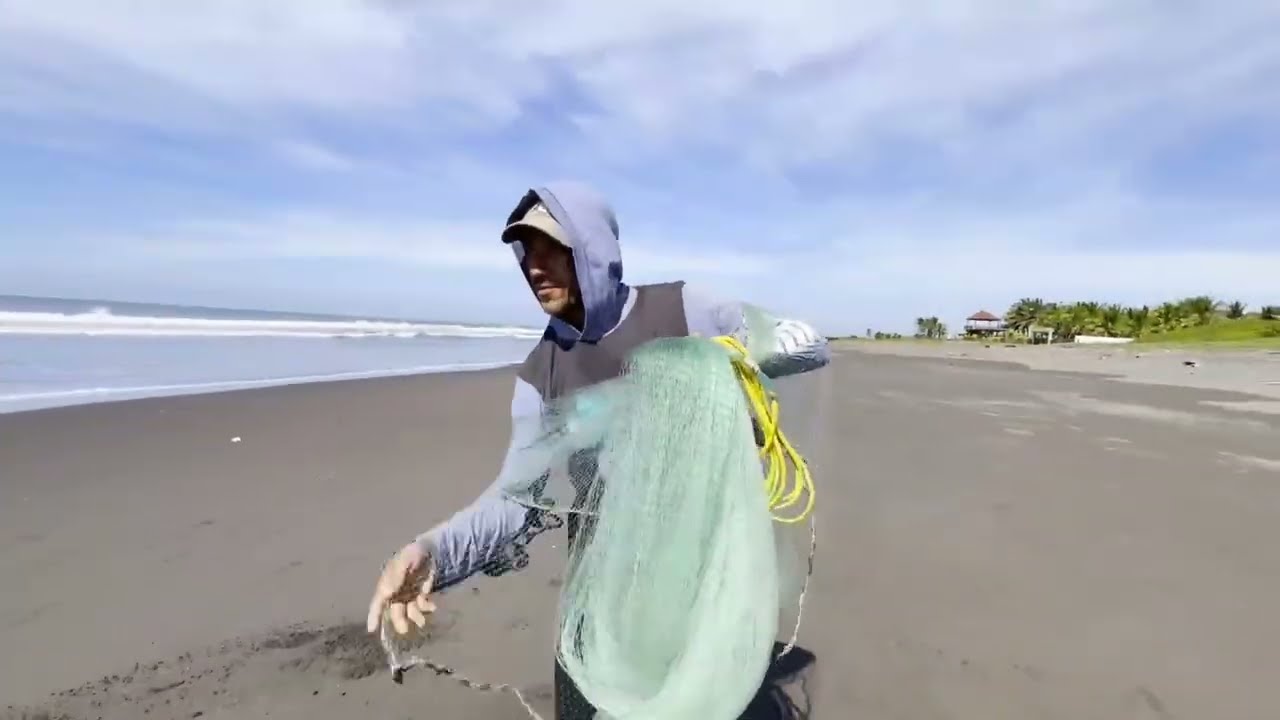 Algo vio chelo en el mar 😱