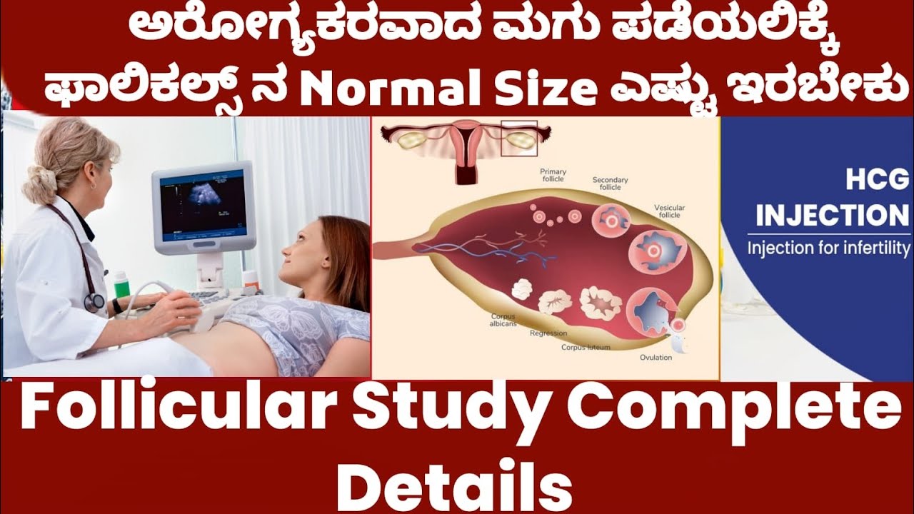 Follicular Study | Follicles normal size to get Pregnancy | Complete Details in Kannada.