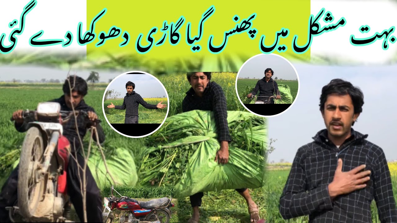 Bhut Muskil May Phans Gea Gadi Dhoka Day Gi بہت مشکل میں پھنس گیا گاڑی دھوکھا دے گئی🤪😲🥵😘