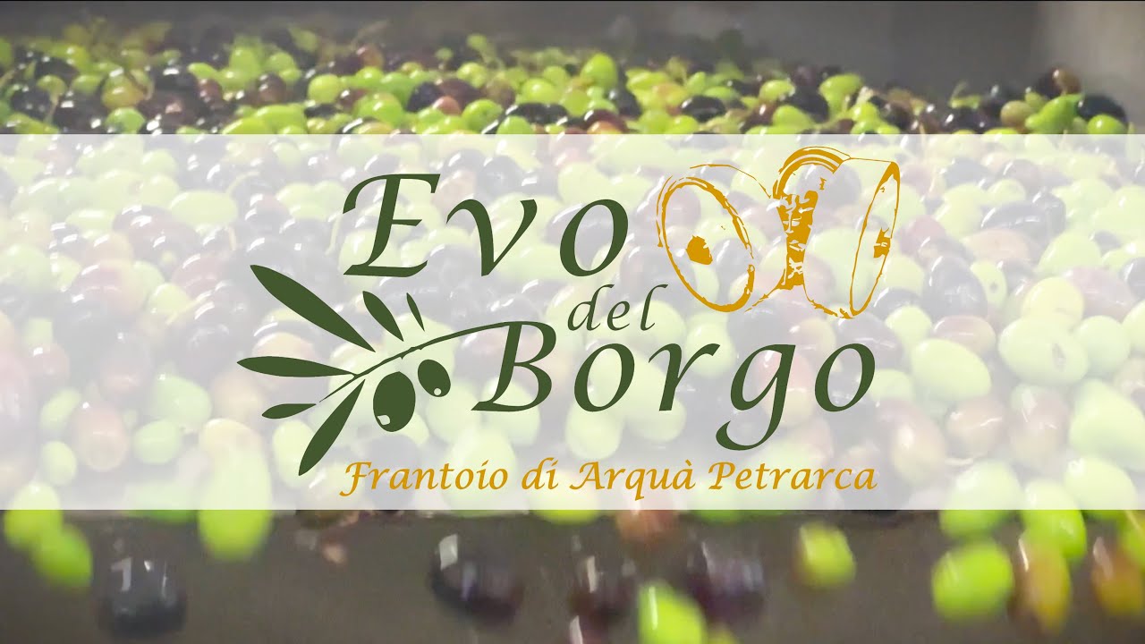 LA MACINA DELLE OLIVE | Al Frantoio Evo del Borgo - Ricky3vi