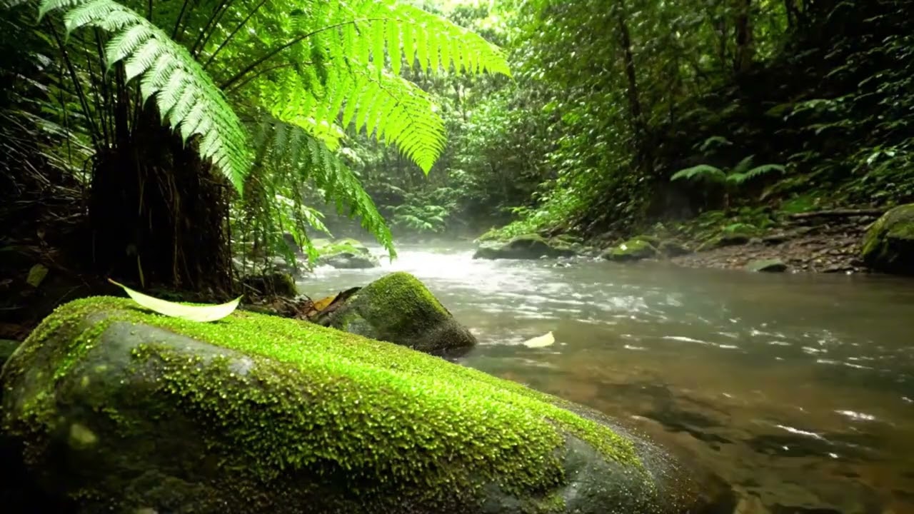 Relaxing River & Creek Sounds – Flowing Water Ambience for Peaceful Nights