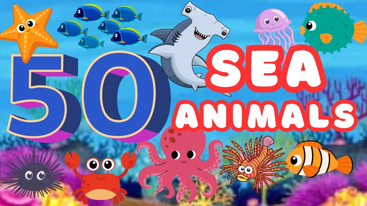 Learn 50 Sea Creatures with Fun Facts for Kids & Toddlers | Fun Educational Video