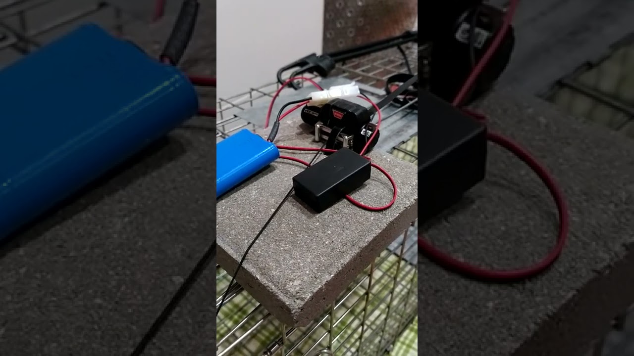 Tutorial Jaula Trampa con mando por 20€