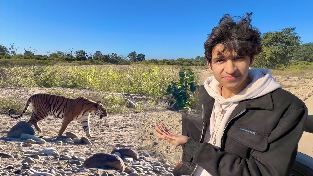 Etna Bada Tiger 😲 Dikh Gaya 