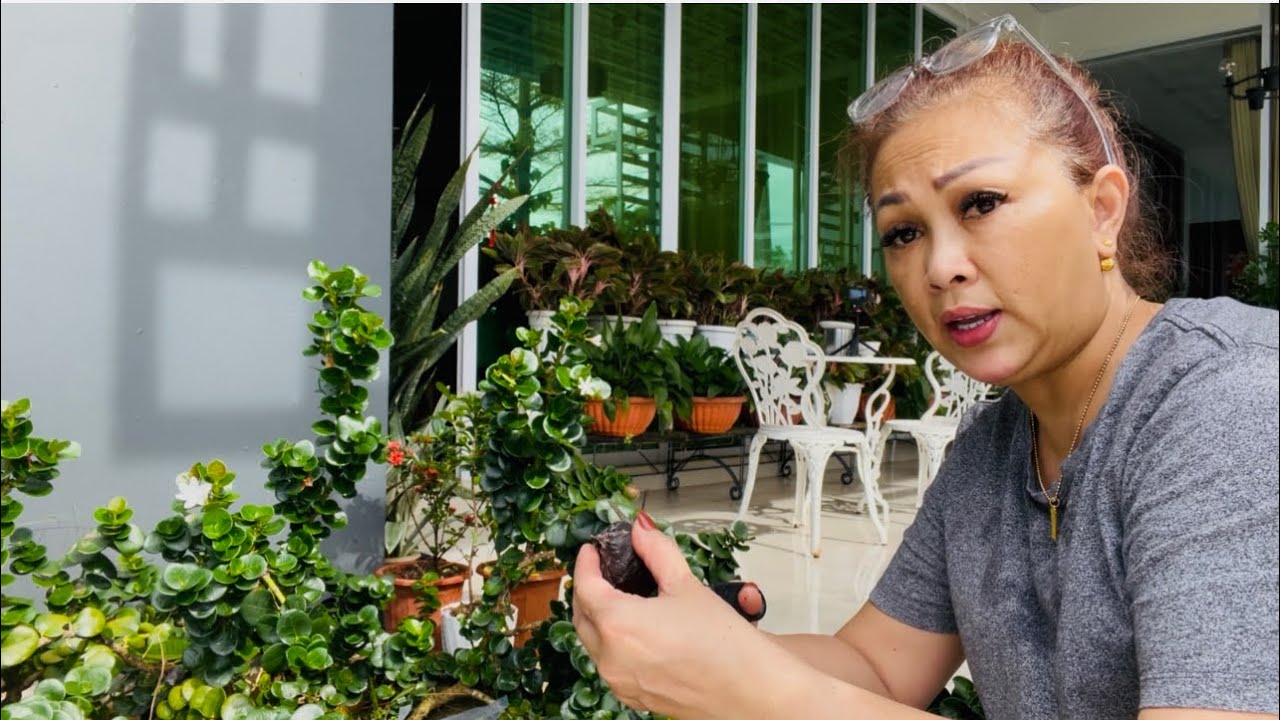 SEBELUM PERGI KUCHING// MEMBERSIHKAN LANDSCAPE
