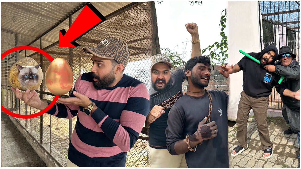 Sorry Guys Hum Late Ho Gey 😭😰😥 Ye Kesi Cat Hai 🧐👻