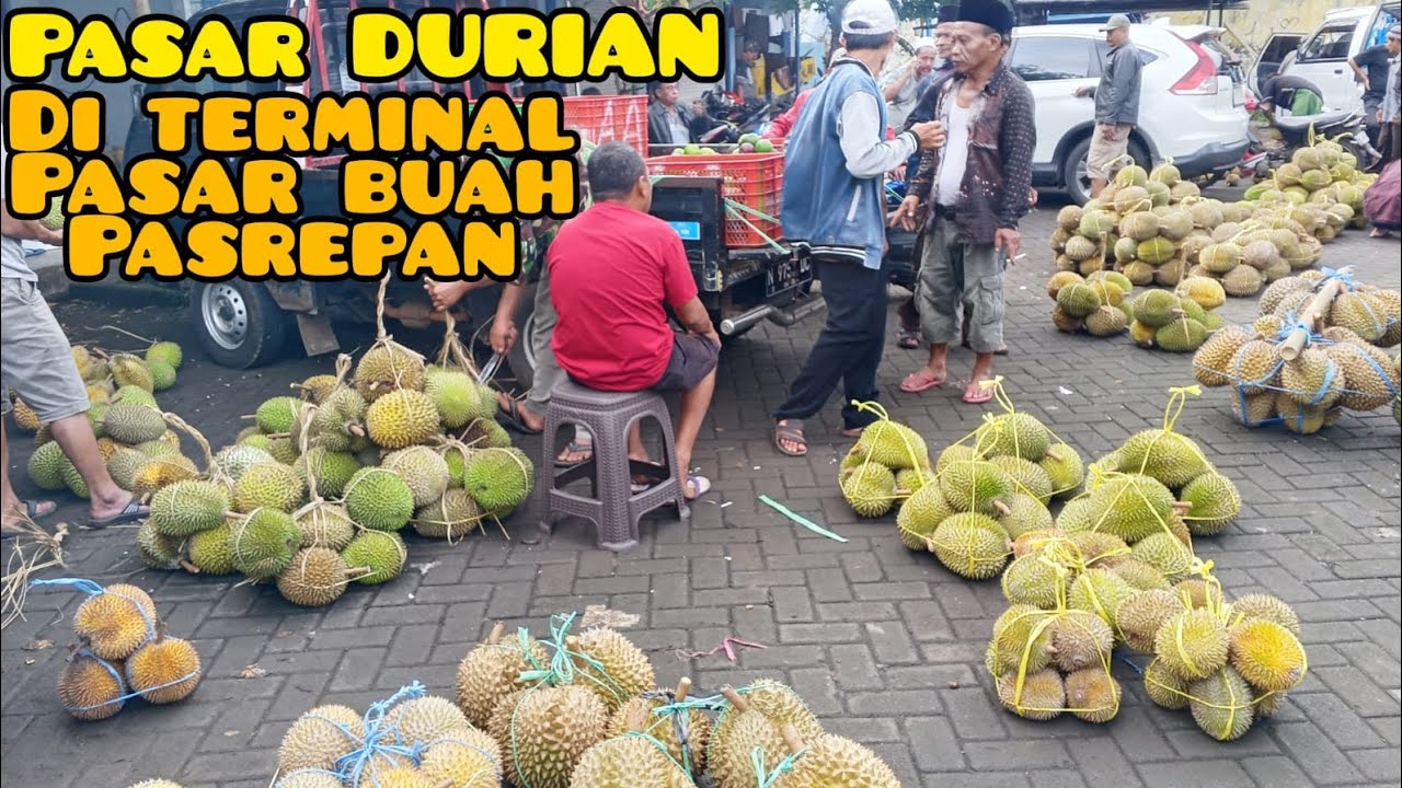 Update terbaru Harga DURIAN Borongan dan ecer di terminal pasar buah Pasrepan 