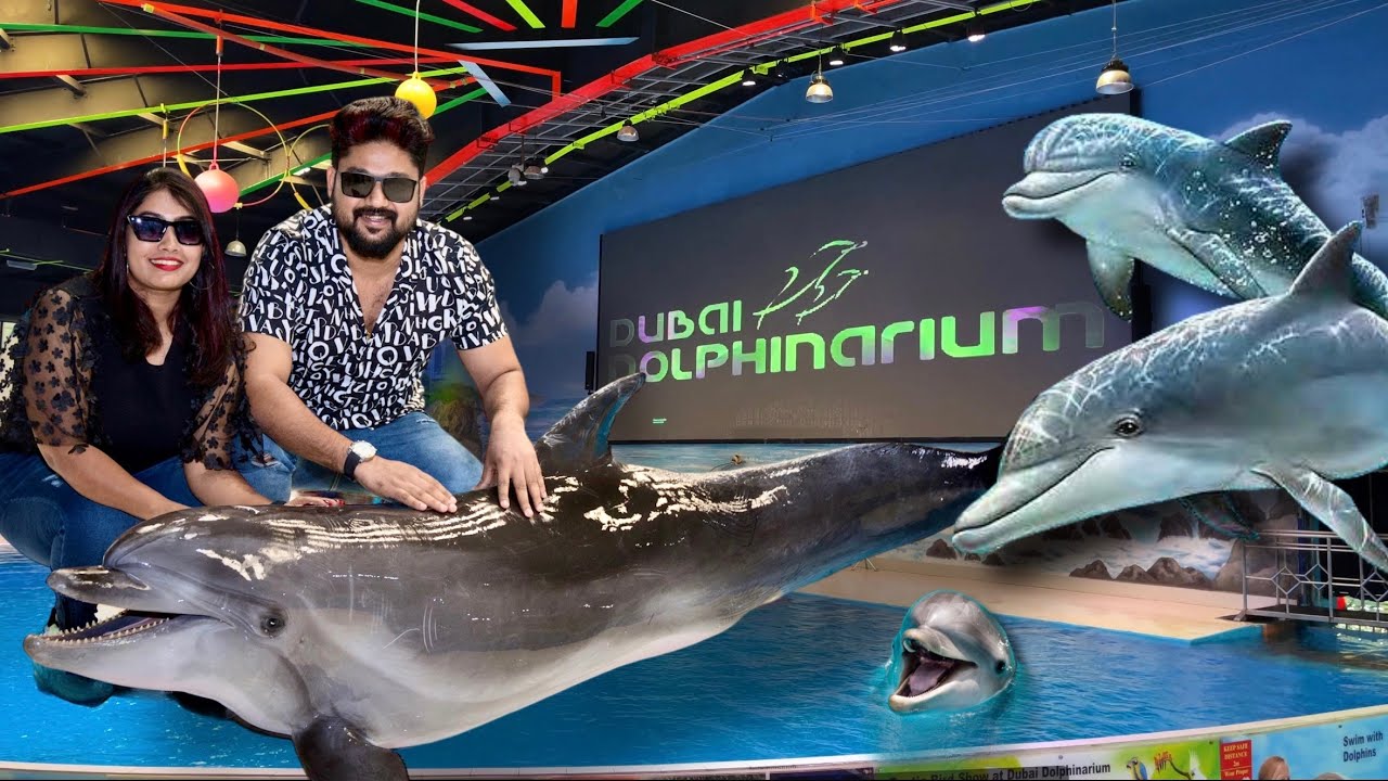 🔥🔥Dubai Dolphinarium 🐬 | ഒന്നും പറയാനില്ല പൊളി 🔥 | Dolphin & Seal show#dubai #dubaidolphinarium