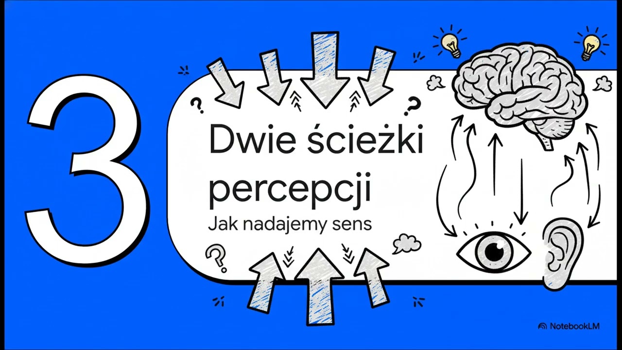 Jak widzimy świat: Sekrety percepcji
