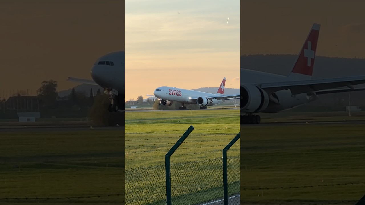Swiss B777 Landing on RWY 14 at Zurich Airport #shorts #swiss #b777 #fyp