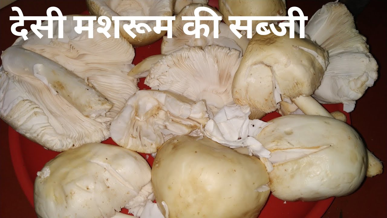 देशी मशरुम ( छत्तू, छत्ता ) की सब्जी एक बार बनाएँगे तो स्वाद भूल नहीं पाएंगे | Recipe in Hindi |