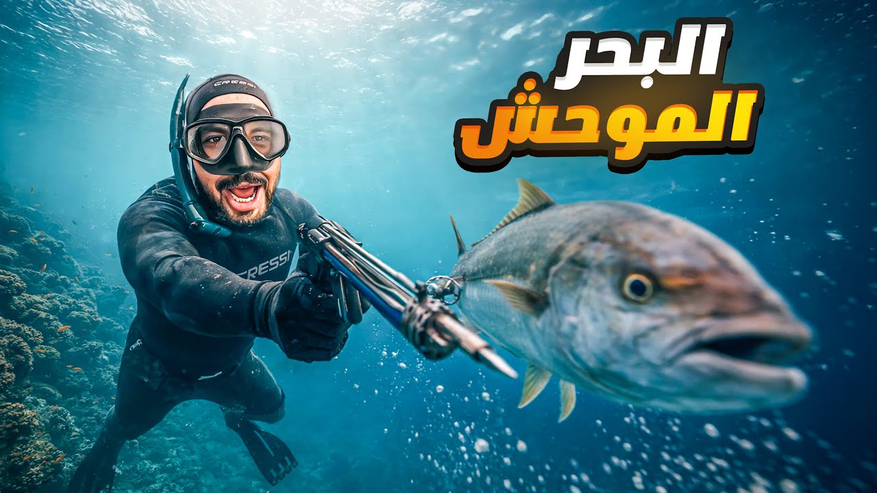 مغامرة صيد صعبة : الغوص في شاطئ موحش لا يصله بشر⛔ لن تتوقع ما حدث !!
