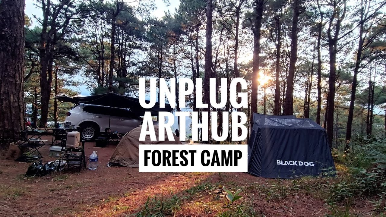 forest camping 