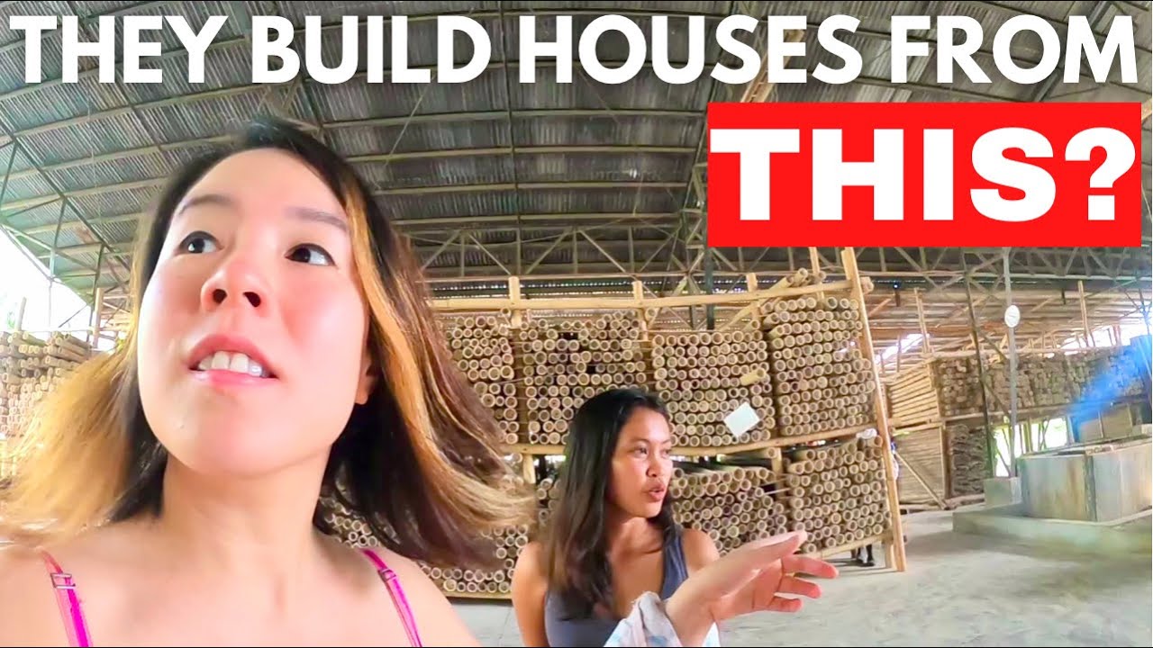 🎋🇵🇭 Fancy houses made from bamboo😱 Kawayan Collective bamboo treatment tour Dauin Negros Oriental