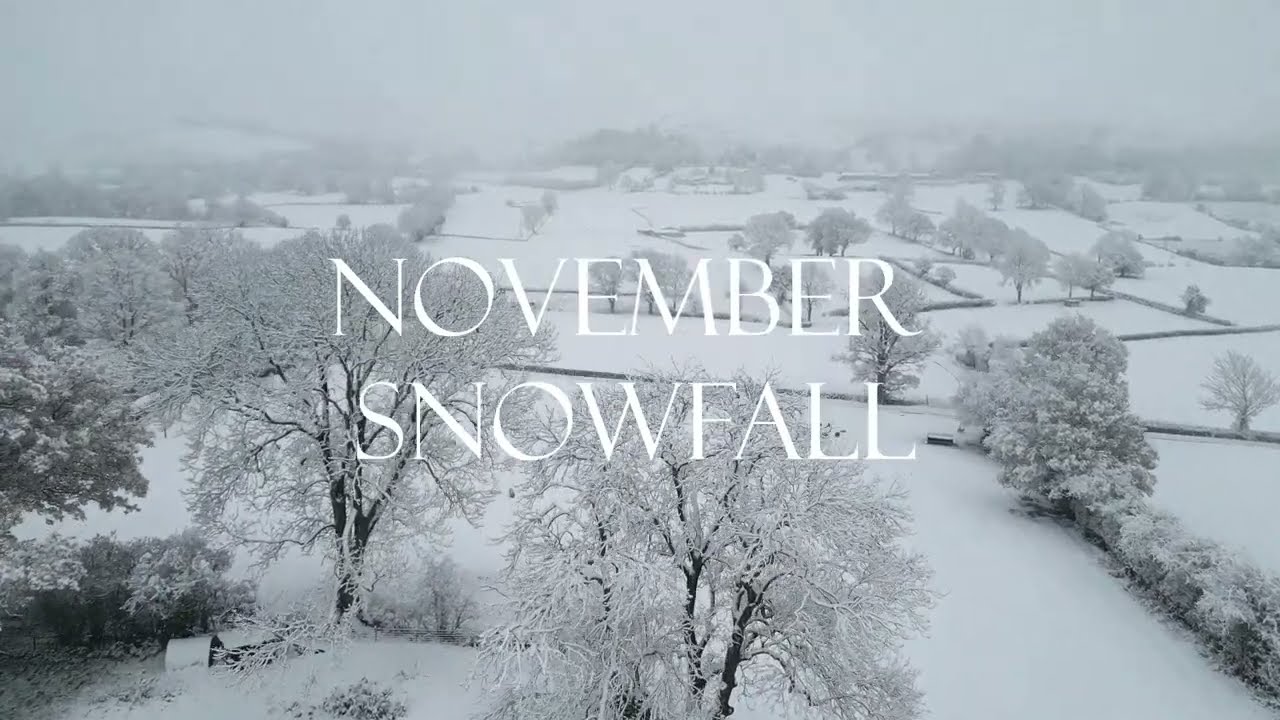 November Snowfall