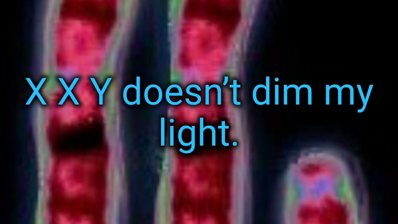 Chromosome Sky