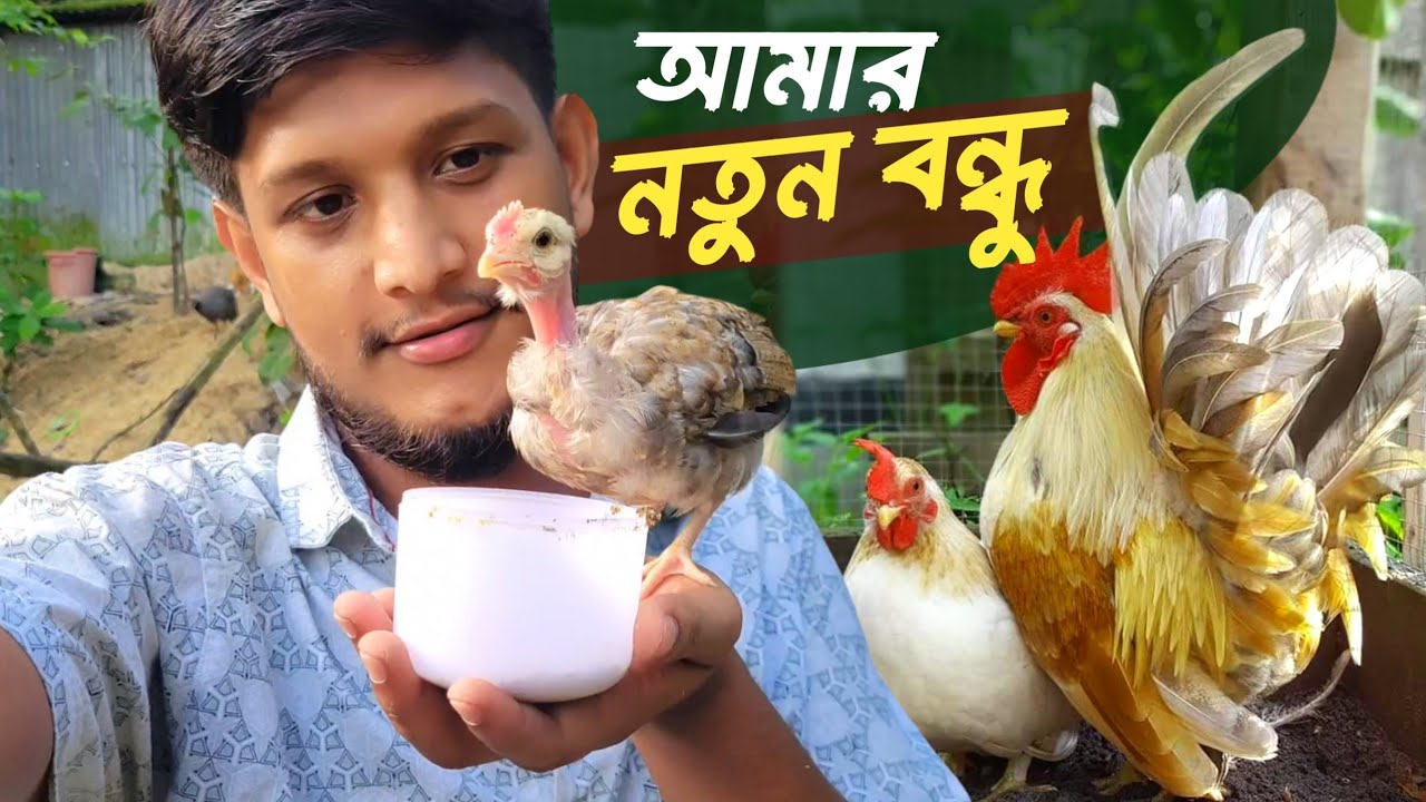 খামারের পোষা প্রাণীদের সাথে আমার বন্ধুত্ব | Sojib Brother